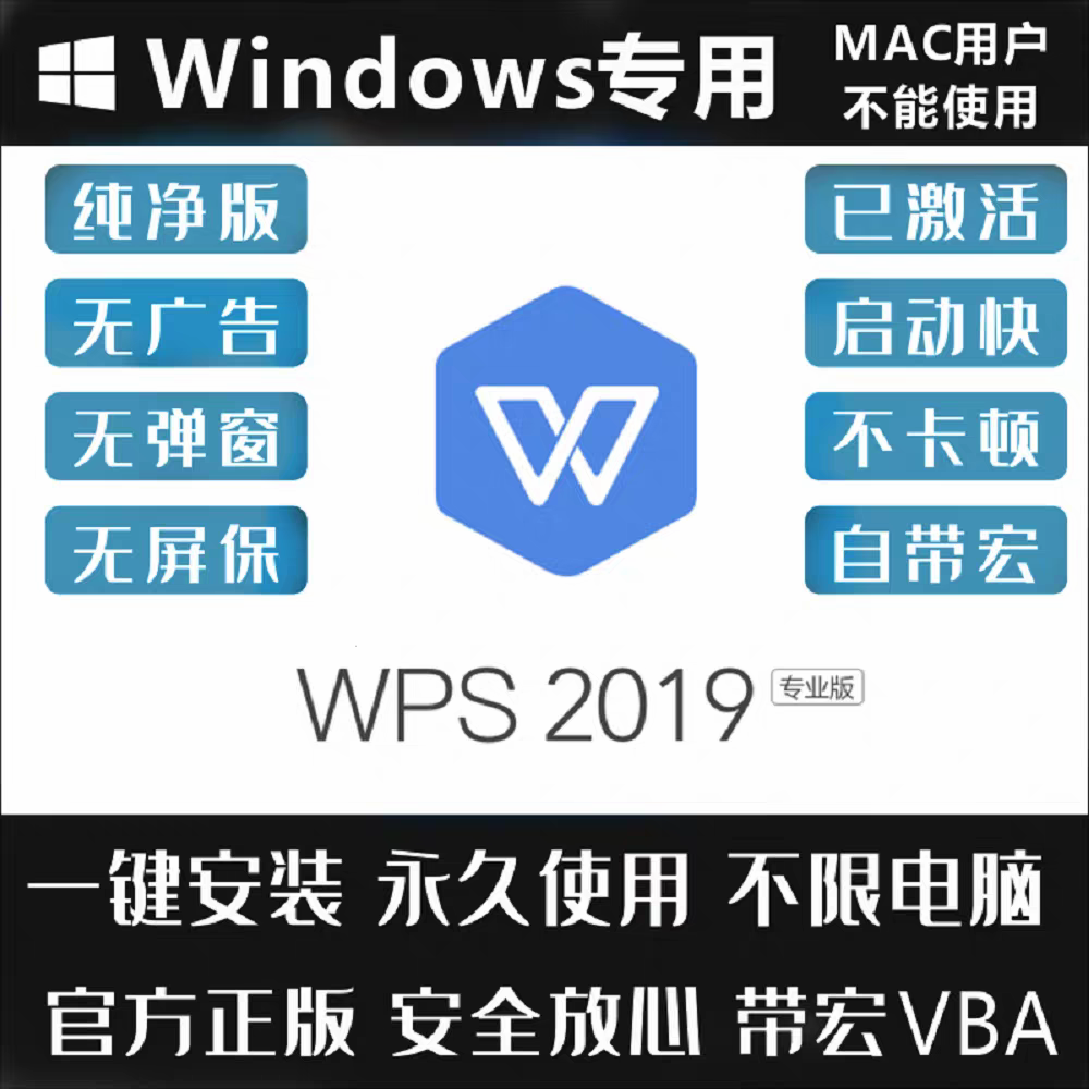 WPS2019政府定制专业版（支持勤哲）